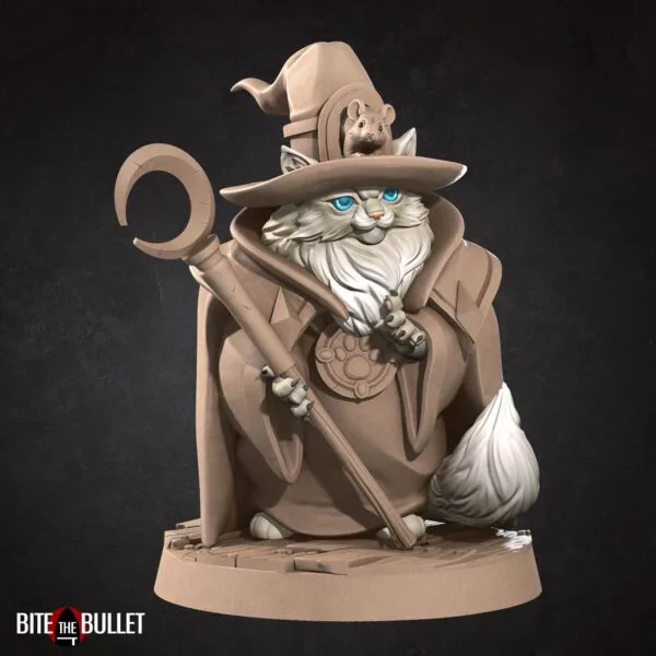 Tabaxi Wizard