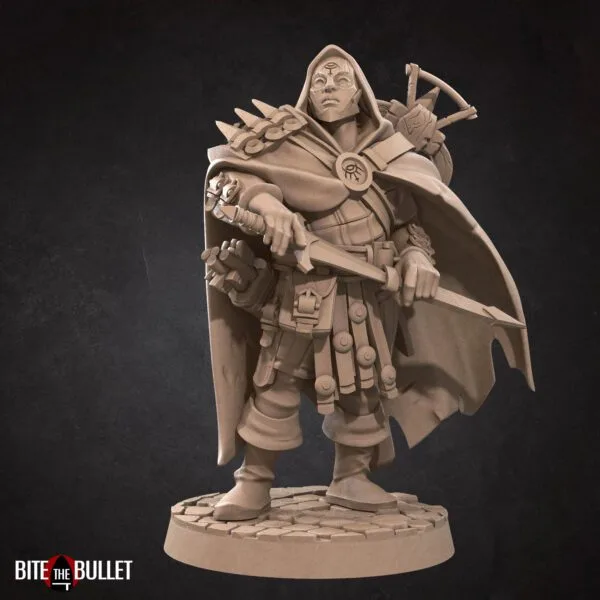 Hero Rogue