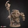 Owlfolk Druid