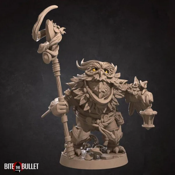 Owlfolk Druid