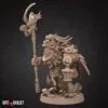 Owlfolk Druid