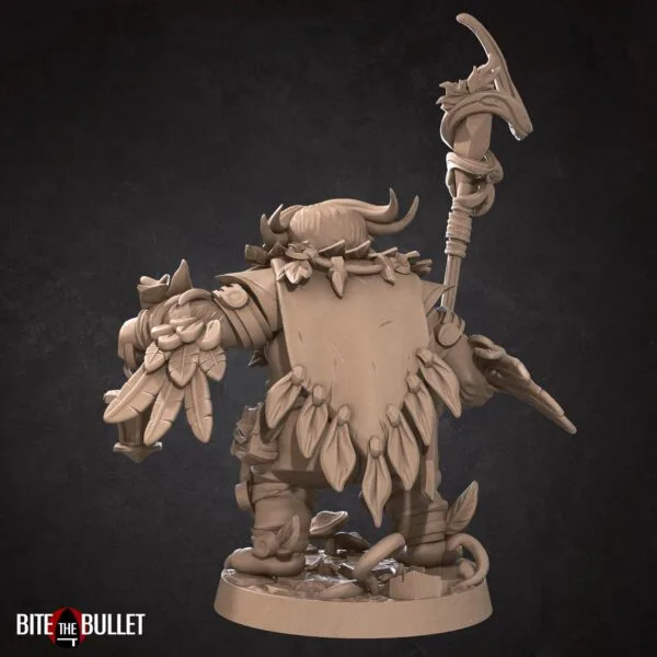Owlfolk Druid