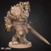 Tabaxi Paladin