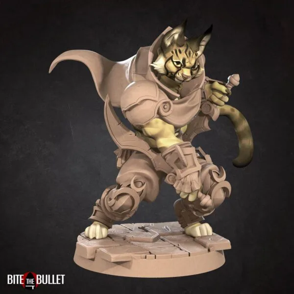Tabaxi Rogue
