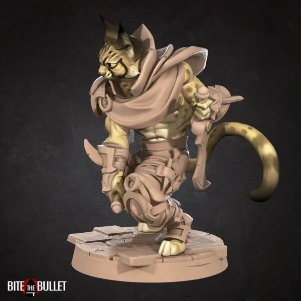 Tabaxi Rogue