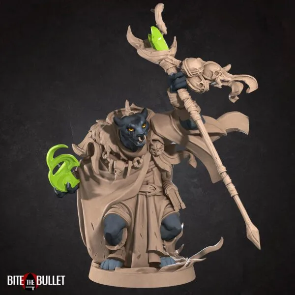 Tabaxi Warlock