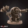 Tortle Cleric