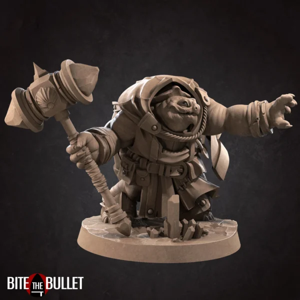 Tortle Cleric