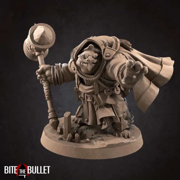 Tortle Cleric