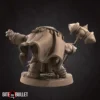 Tortle Cleric