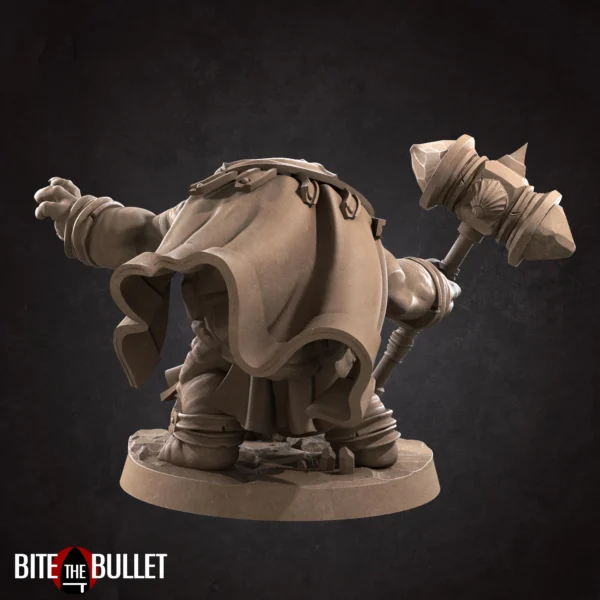 Tortle Cleric