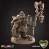 Tortle Druid