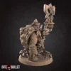 Tortle Druid