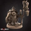 Tortle Druid