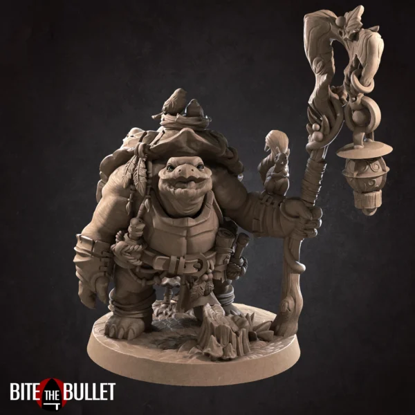 Tortle Druid