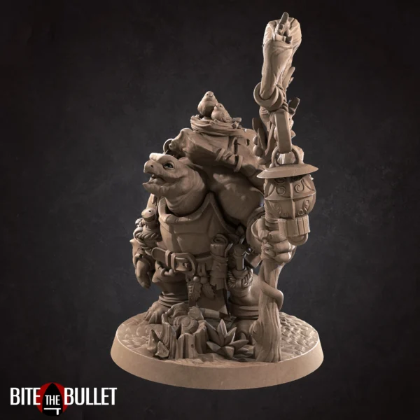 Tortle Druid