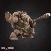 Tortle Monk