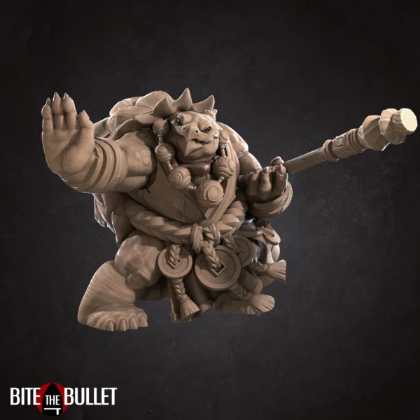 Tortle Monk