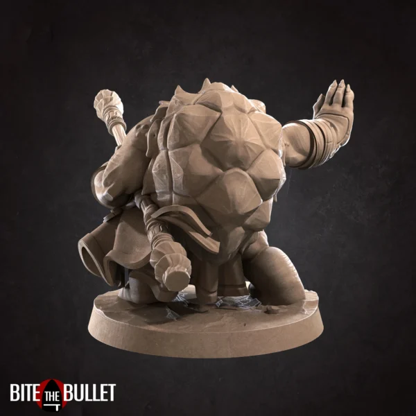 Tortle Monk