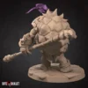 Tortle Ninja