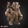 Tortle Pirate