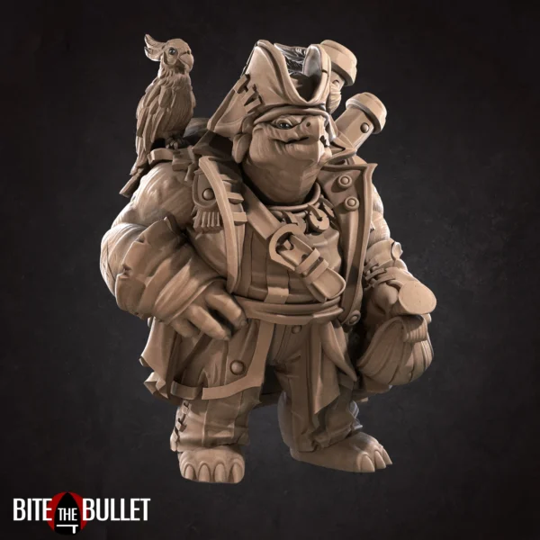 Tortle Pirate