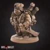 Tortle Pirate