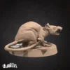 Giant Rats Pack