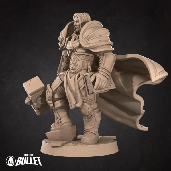 Arthas (2) Human Prince Paladin