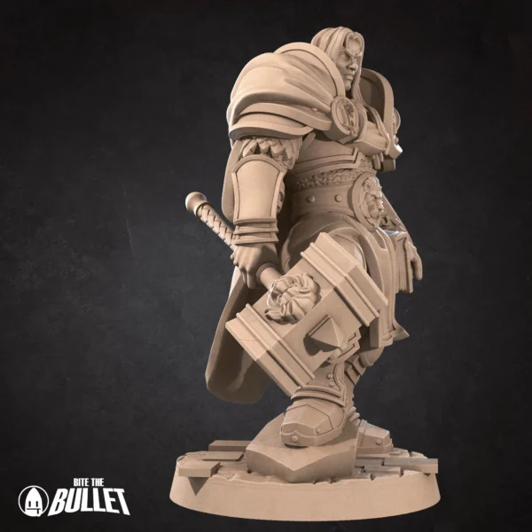 Arthas (4) Human Prince Paladin