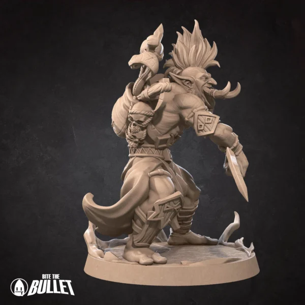 Voljin (4) Troll Shadow Hunter