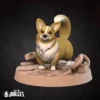 Corgnelius, Companion 001