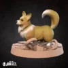 Corgnelius, Companion 001
