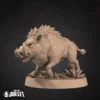 Boars
